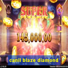 canil blaze diamond